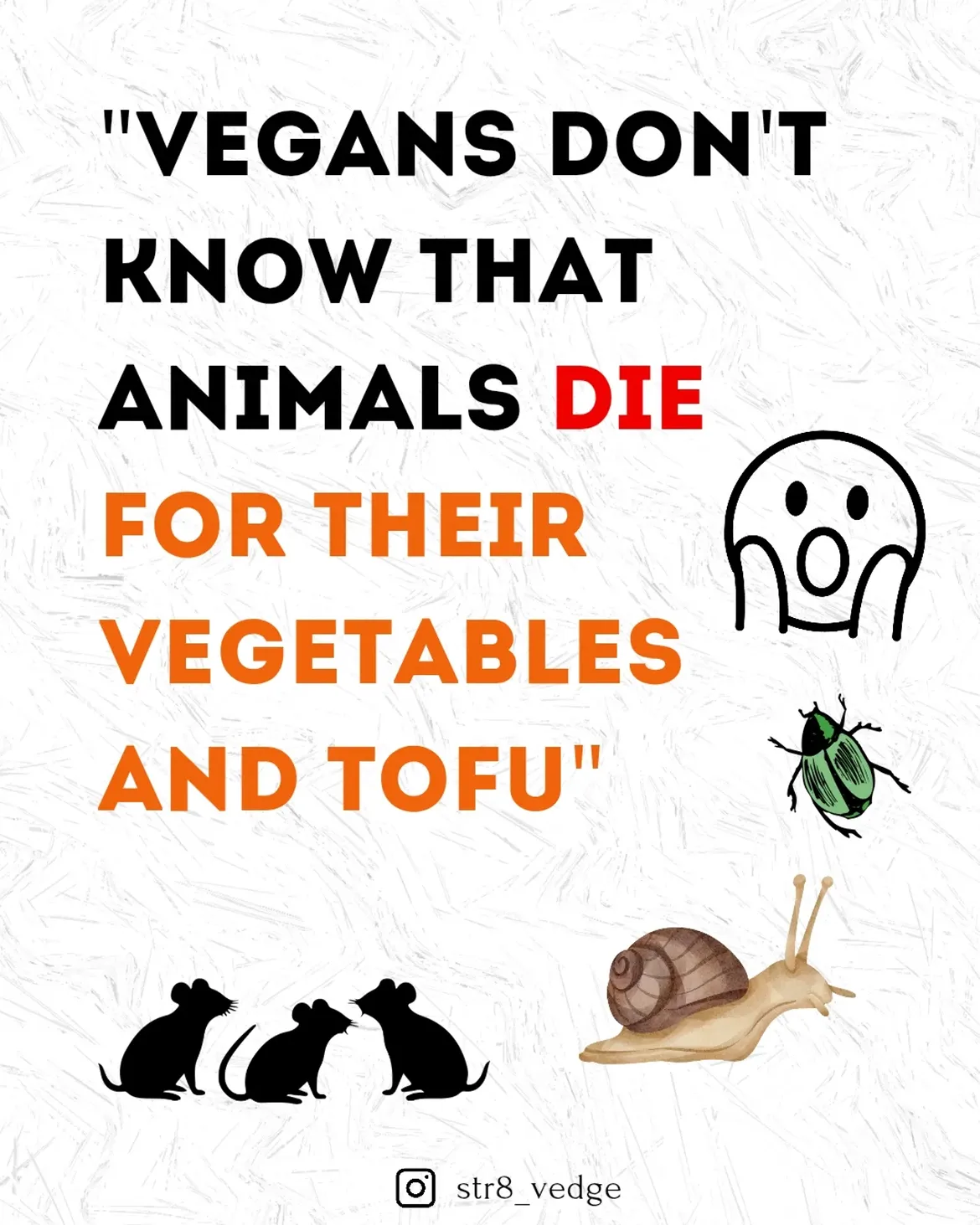 "Vegans don`t know that animals die for their vegetables and tofu"